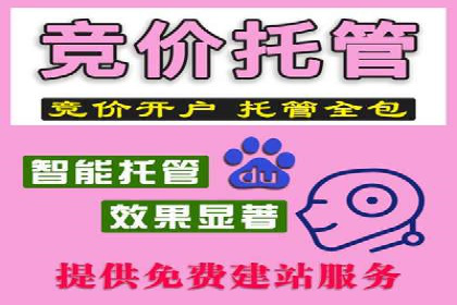 某公司通过SEM代运营托管公司实现业绩持续增长的秘诀